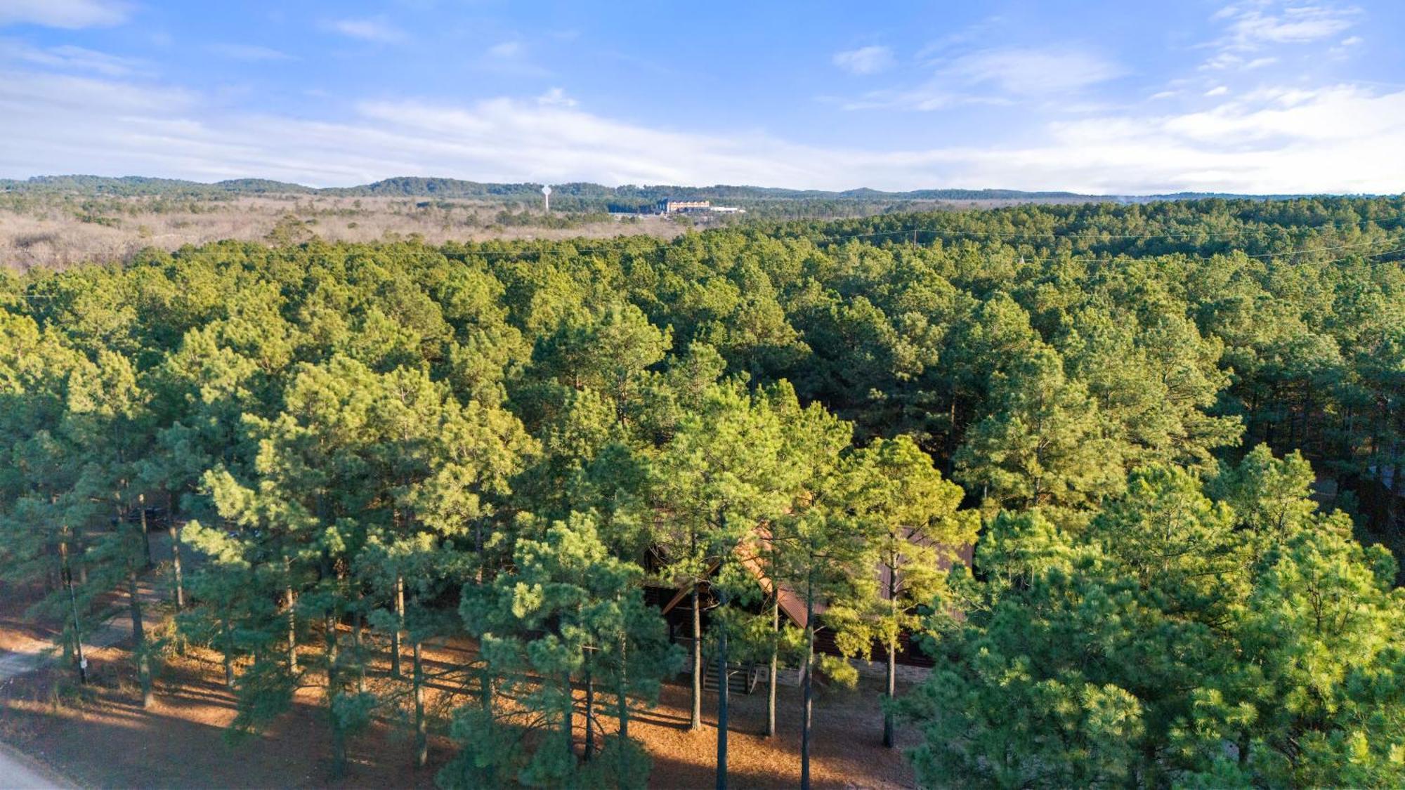Came Here To Forget Cabin Broken Bow Exterior foto